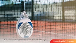 Padel: Fenomena Olahraga yang Sedang Hype  