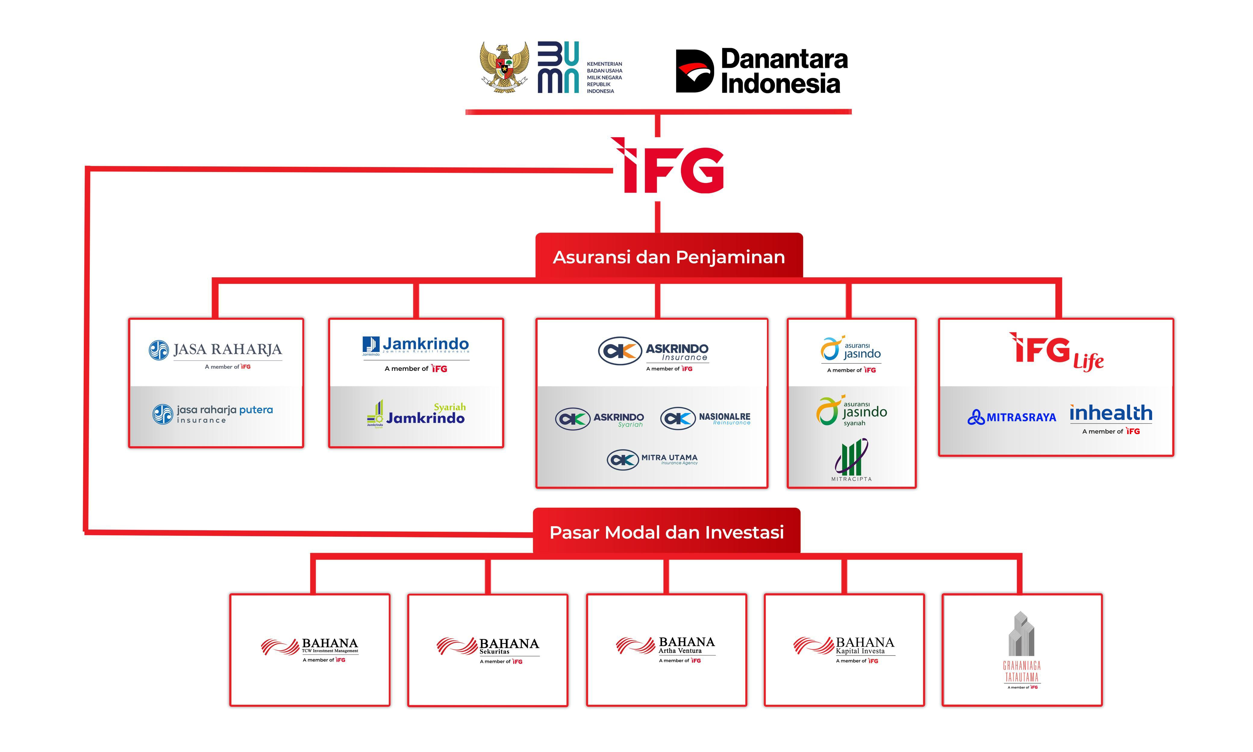 Struktur holding IFG